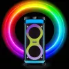 Kannettava kaiutin MANTA SPK0601B100, 100 W, Bluetooth, karaoke, langaton mikrofoni, akku, taajuuskorjain, diskovalot