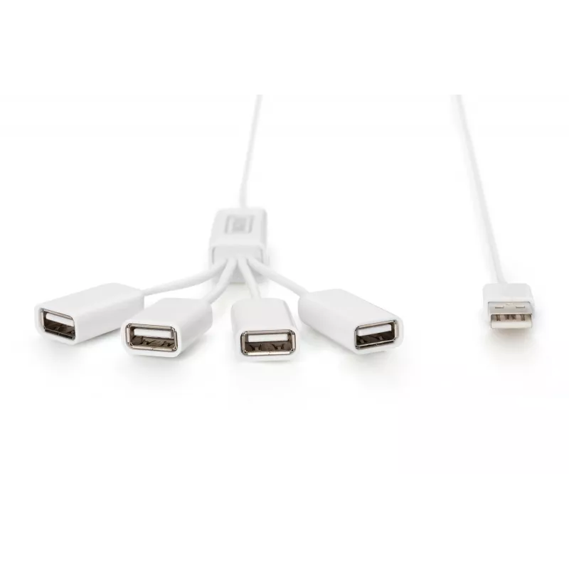 Delock USB-adapteri - USB Type-A (naaras) - 24-pin USB-C (uros)