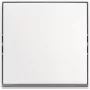 BUSCH JAEGER keinupainike AP 2601/6 J-524 (2TKA00005521)