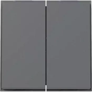 GIRA keinupainike 2f TX_44 WG UP 329567 antrasiitti (329567)