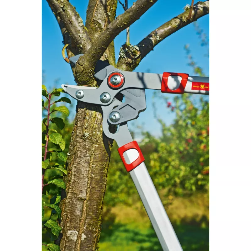 Oksasakset WOLF-Garten POWER CUT RS 650 BASIC PLUS
