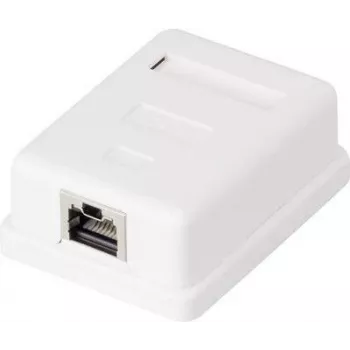 Verkkopistorasia Renkforce CAT 6 1 portti, valkoinen