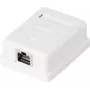 Verkkopistorasia Renkforce CAT 6 1 portti, valkoinen