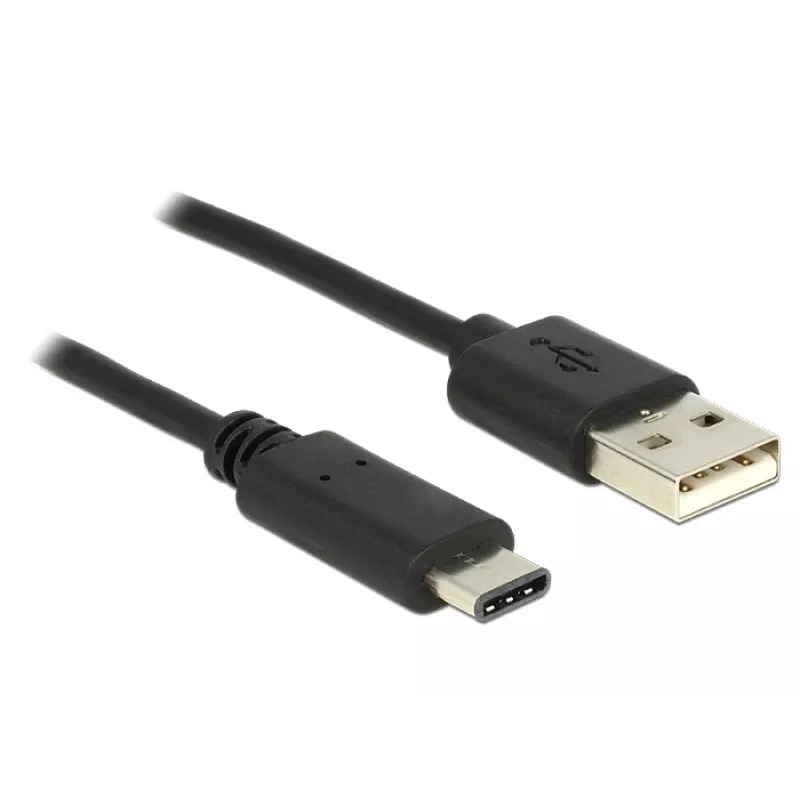 USB-kaapeli DeLOCK 0,5 m USB2.0-A USB2.0-C