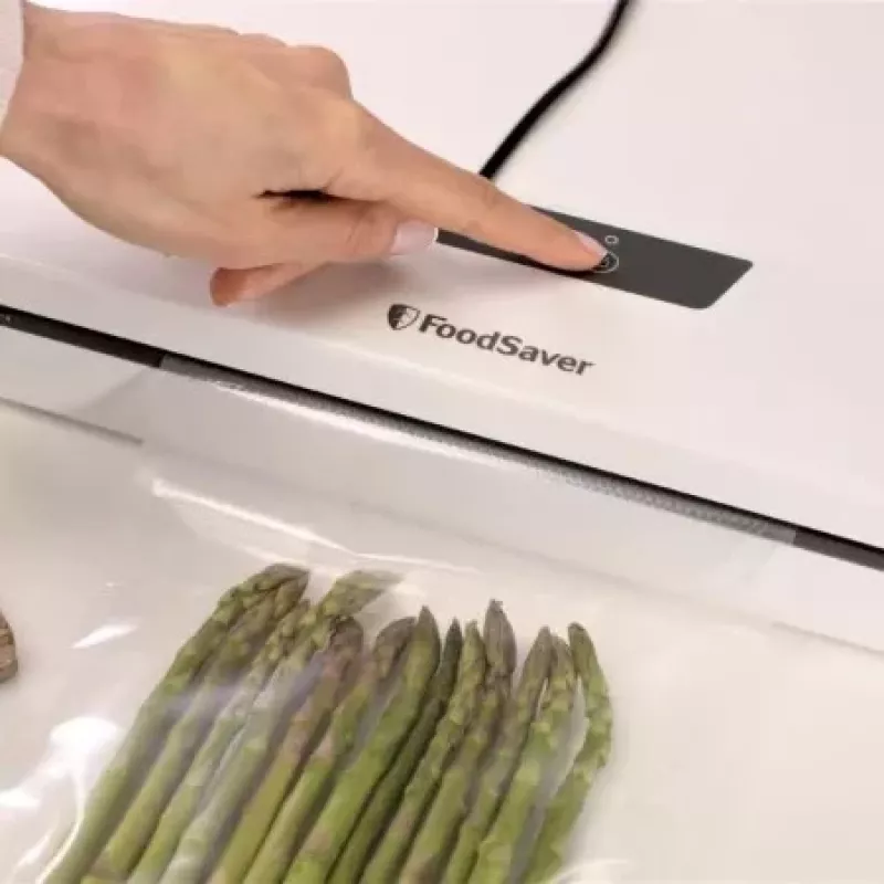 FoodSaver tyhjiösaumain VS0290X