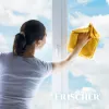 Frischer lasinpuhdistusaine huurtumisenestotoiminnolla 1 l