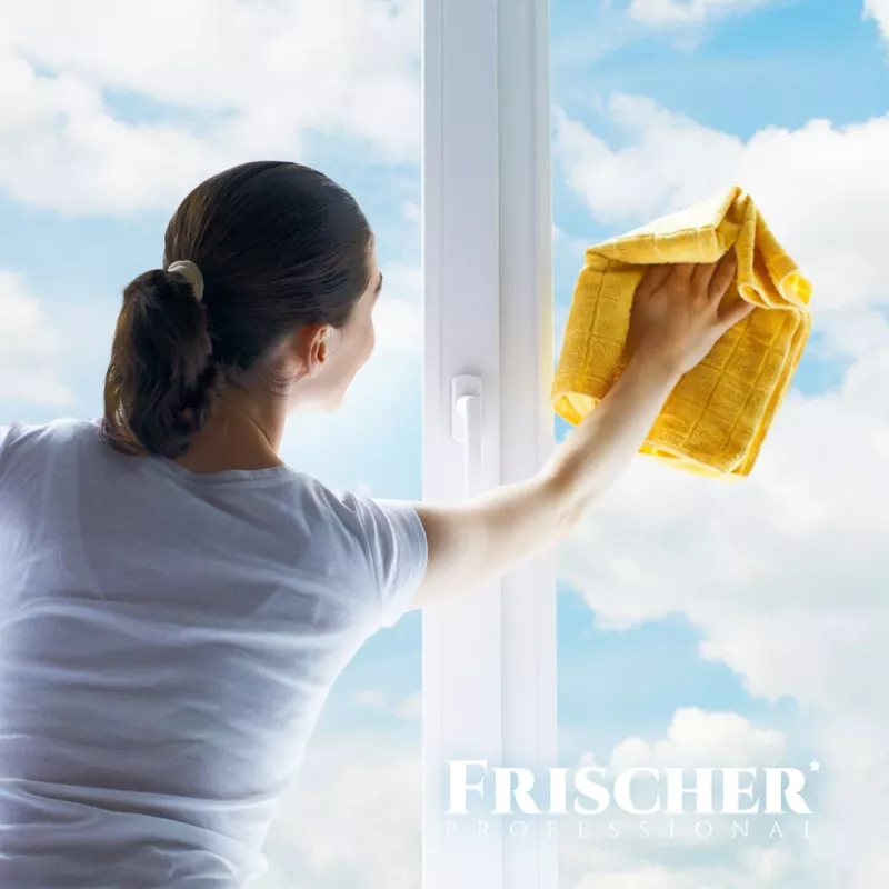 Frischer lasinpuhdistusaine huurtumisenestotoiminnolla 1 l