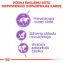 ROYAL CANIN Sterilised 37 - kuivaruoka kissoille - 10 kg