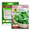 PNOS rucola Eruca sativa siemenet nauhalla, 6 m