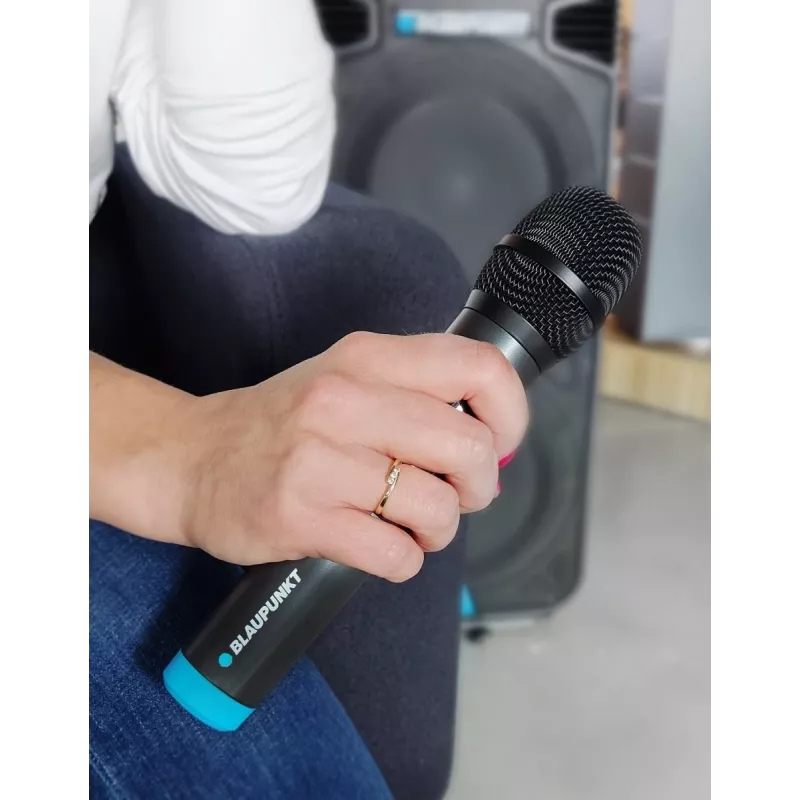 Mikrofoni Blaupunkt WM40U