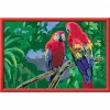 Ravensburger maalaa numeroilla - Värikkäät papukaijat