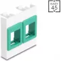 Seinäasennusmoduulikehys 45x45 mm DELOCK Easy 2x Keystone-pidike valkoinen/vihreä