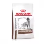 ROYAL CANIN Gastrointestinal - kuivaruoka koirille - 2 kg