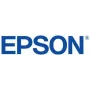 Epson C13T56F500 värikasetti alkuperäinen vaaleansyaani