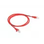 Lanberg PCU5-20CC-0100-R Cat.5e UTP -patch-kaapeli, 1 m, punainen, 10 kpl:n pakkaus
