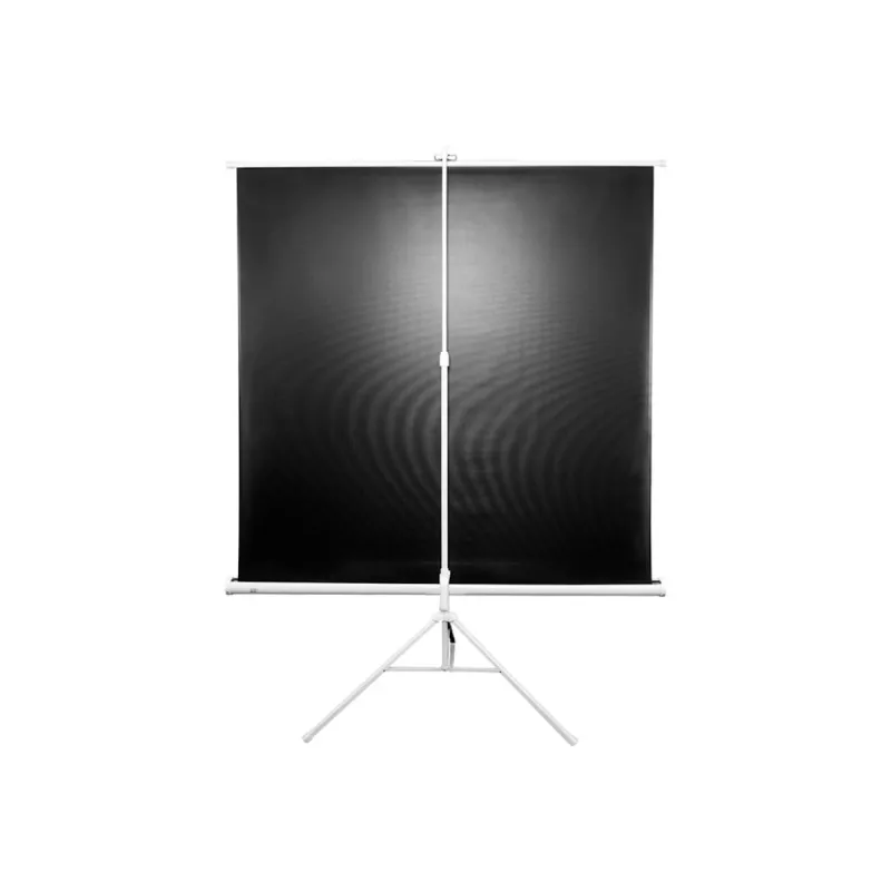 Jalustallinen projektiokangas Elite Screens T85NWS1 2,16 m (85