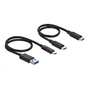 Delock M.2 telakointiasema - liitäntäadapteri - M.2 NVMe -kortti - USB 3.2 (Gen 2) - hopea
