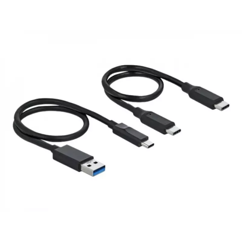 Delock M.2 telakointiasema - liitäntäadapteri - M.2 NVMe -kortti - USB 3.2 (Gen 2) - hopea