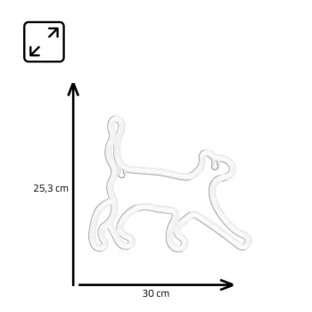 Neon-koristevalo MANTA SNL70WH Style Neon Lights CAT 2 valkoinen 70 cm