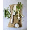 WMF Grand Gourmet 1.889.586.032 fileointiveitsi, ruostumaton teräs, 16 cm