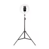 Havit ST7012 Pro jalusta valorenkaalla