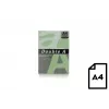 Värillinen paperi Double A, 80 g, A4, 500 arkkia, Emerald