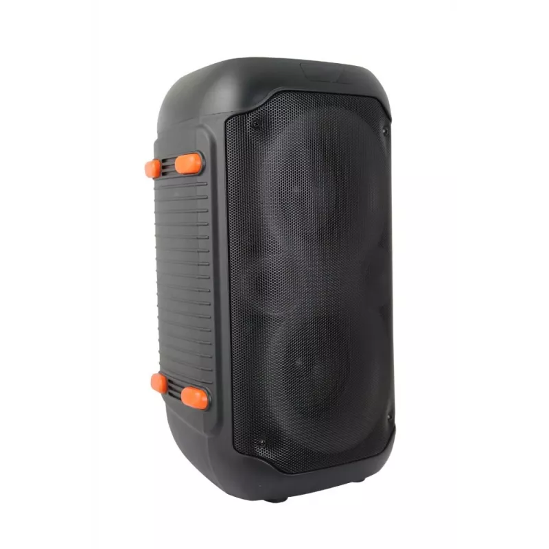 Esperanza EP156 BT FM LED RGB KARAOKE kaiutin musta 20W