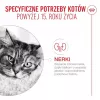 ROYAL CANIN Ageing 15+ kuivaruoka kissoille – 4 kg