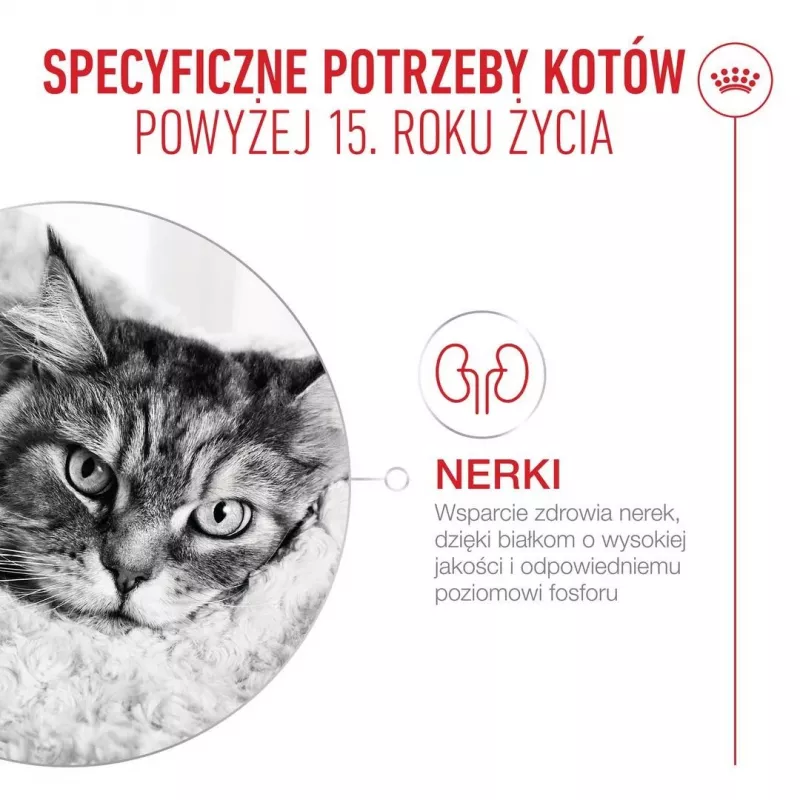 ROYAL CANIN Ageing 15+ kuivaruoka kissoille – 4 kg
