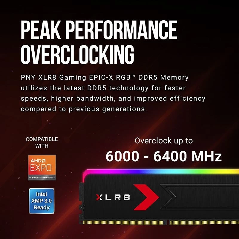 Muisti PNY DDR5 32GB 5600 BULK