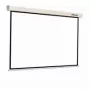 Projektiokangas Reflecta CrystalLine rulla 176x176 cm