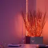 LED-valosarja Twinkly TWD200STP-TEU monivärinen sisänauha, 5 cm väli, IP20, läpinäkyvä kaapeli