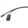 Renkforce RF-4531590 kaapeliadapteri USB-C HDMI musta (RF-4531590)