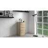 Topeshop W5 SONOMA -lipasto