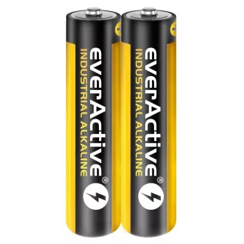 Kertakäyttöinen alkaliparisto everActive EVLR03S2IK AAA 1,5 V, 40 kpl, 5 vuoden säilyvyys