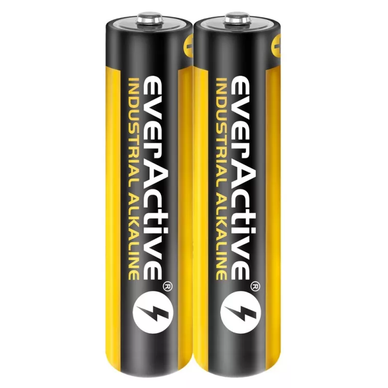 Kertakäyttöinen alkaliparisto everActive EVLR03S2IK AAA 1,5 V, 40 kpl, 5 vuoden säilyvyys