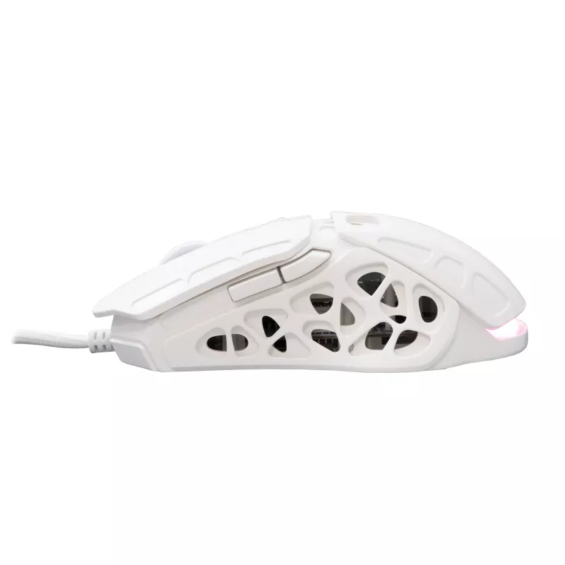 Hiiri White Shark GM-5016 Ector valkoinen USB