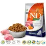 FARMINA N&D GF PUMPKIN DOG LAMB&BLUEBERRY PUPPY MEDIUM/MAXI 12 kg