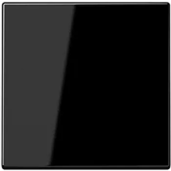 JUNG LS1700SW LS1700SW ohjauspainike Standard (LS1700SW)