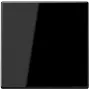 JUNG LS1700SW LS1700SW ohjauspainike Standard (LS1700SW)