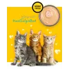 3COTY kana kissanpennuille - märkäruoka kissoille - 80g