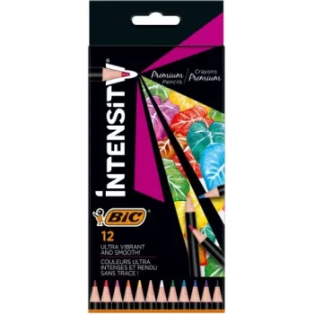 BIC Intensity värikynät 12 väriä 951844