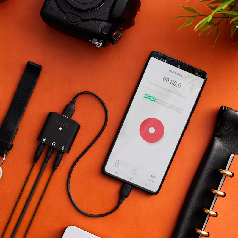 Rode SC22 USB-C–USB-C-kaapeli, 30cm (SC22)