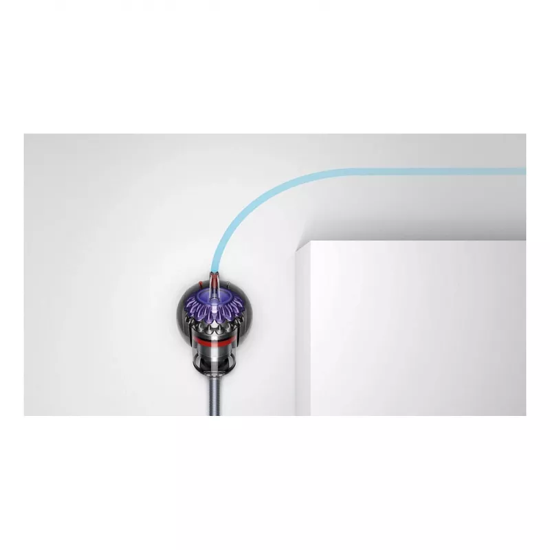 Dyson Big Ball Absolute 2 sylinteripölynimuri - 447250-01