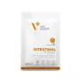 VetExpert Veterinary Diet Intestinal Cat märkäruoka kissoille 100 g