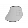 Langaton pystyhiiri NATEC Euphoniе Pro Bluetooth 5.0, 4000 DPI, ohjelmoitava, hiljainen, valkoinen