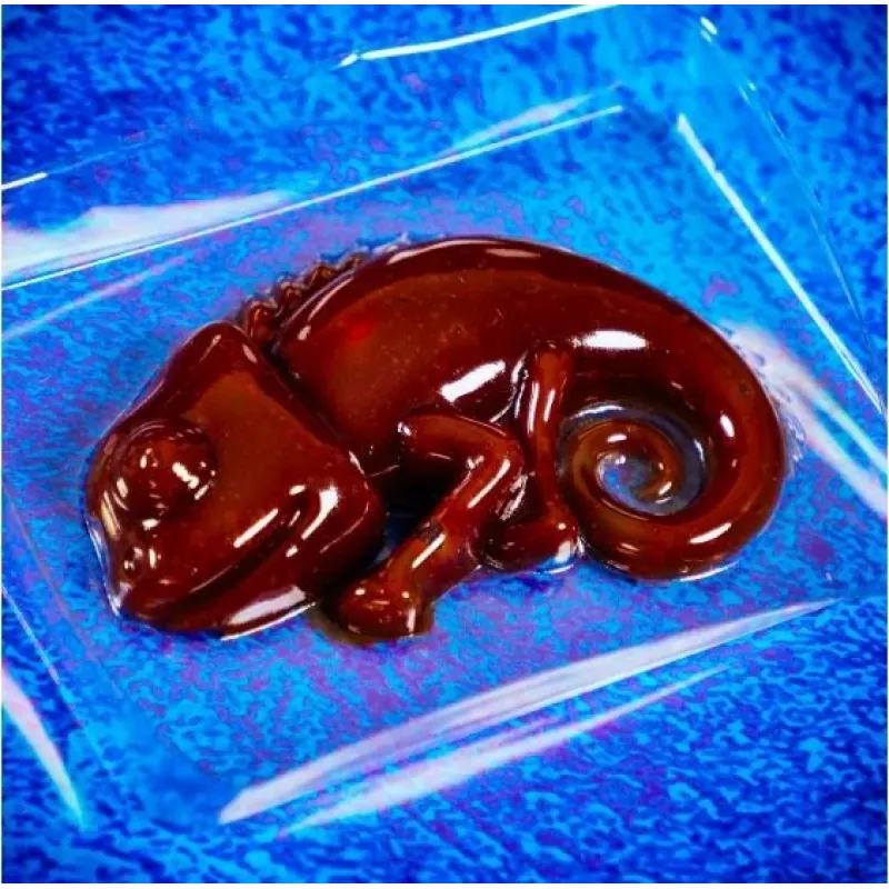 Liscianigiochi tiedesarja Crazy Science Slime Chameleon 304-PL89246 – opetuksellinen limakokeilusarja