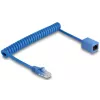 Verkkokaapeli DeLOCK 90365 1,2 m Cat6 U/UTP