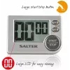 Kylpyhuonevaaka Salter 397SVXR harmaa