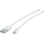 ROLINE - Lightning-kaapeli - Lightning (M) - USB (M) - 15 cm - suojattu - valkoinen - valettu - Apple iPad/iPhone/iPod (Lightning) (11.02.8326)